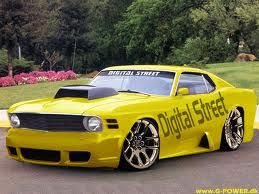 mustang2.jpg